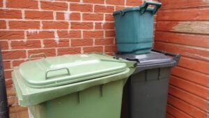 A green bin, a black bin and a food scraps bin.